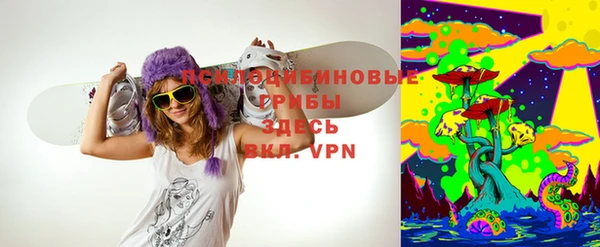 марки lsd Заводоуковск