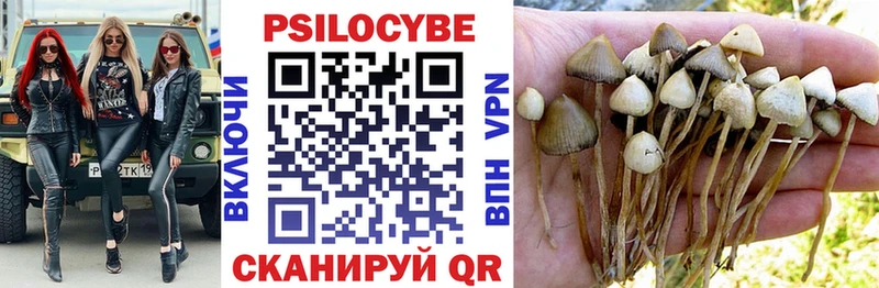 Купить где Ефремов Псилоцибиновые грибы MAGIC MUSHROOMS